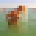  ,   , 45 ,   