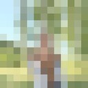 ���������� ����, ���� ����� ���������, 22 ����, ������������ ��� ������, ����� � ���������