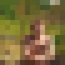  ,   , 42 ,   c , 