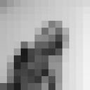 ���������� �����-���������, ���� ������� ���������, 23 ����, ������������ ��� ������, ����� � ���������