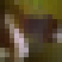 ���������� ������, ���� ������� ��������, 42 ����, ������������ ��� ������, ����� � ���������, c�������� ���������