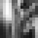  ,   Max, 31 ,   ,   , c , 