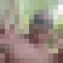 ���������� ���������, ���� ������� ����, 53 ����, ������������ ��� ������, ����� � ���������