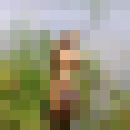  ,   , 51 ,   ,   , c , 