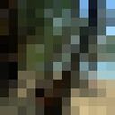 ���������� ������, ���� ������� �������, 40 ���, ������������ ��� ������, ����� � ���������