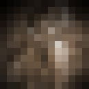  ,   Whynott, 45 ,  
