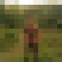  -,   , 19 ,   ,   