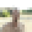 ���������� �����������, ���� ������� ������, 38 ���, ������������ ��� c�������� ���������