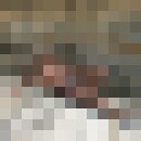 ���������� ����, ���� ������� ���������, 40 ���, ������������ ��� ������, ���������