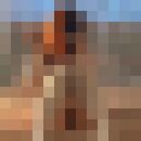 ���������� ������, ���� ������� �����, 22 ����, ������������ ��� ������, ����� � ���������