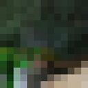 ���������� ���, ���� ������� �����, 29 ���, ������������ ��� ������, ����� � ���������