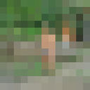 ���������� ���������, ���� ������� ������, 49 ���, ������������ ��� ����� � ���������, c�������� ���������