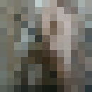  ,   Zafar, 43 ,  