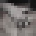  ,   , 24 ,   ,   , 