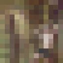 ���������� ������, ���� ������� ������, 28 ���, ������������ ��� ������, ����� � ���������