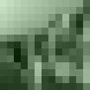  -,    , 63 ,   , 