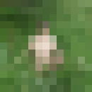  ,   Lexa, 51 ,     , c , 