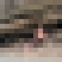 ���������� �����-���������, ���� ����� �����, 22 ����, ������������ ��� ������, ����� � ���������