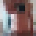  ,   , 52 ,   ,   , 