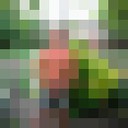  ,   Slava, 50 ,   ,   , c 