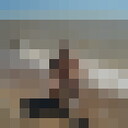  ,   , 54 ,   c 