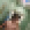 ���������� �����, ���� ������� �������, 31 ���, ������������ ��� ������, ���������