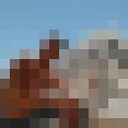 ���������� ������, ���� ������� ������, 40 ���, ������������ ��� ������, ����� � ���������