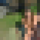  -,   , 31 ,   ,   , c , 