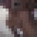 ���������� ���������, ���� ������� Shox, 32 ����, ������������ ��� ������, ����� � ���������, c�������� ���������