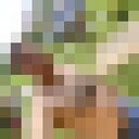 ���������� �����, ���� ������� �����, 36 ���, ������������ ��� ������, ����� � ���������, c�������� ���������, ���������