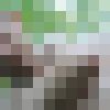  ,   , 32 ,   ,   , c 