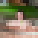  ,   Shamil, 27 ,     , c 