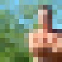 ���������� ����������, ���� ������� �����, 52 ����, ������������ ��� ������, ����� � ���������