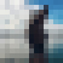 ���������� �����-���������, ���� ������� ������, 24 ����, ������������ ��� ������, ����� � ���������, c�������� ���������