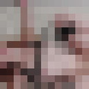 ���������� ���������, ���� ������� ���������, 24 ����, ������������ ��� ������, ����� � ���������, c�������� ���������