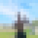 ���������� �����, ���� ����� ���������, 24 ����, ������������ ��� ������, ����� � ���������, c�������� ���������, ���������