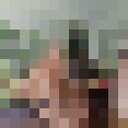 ���������� ���������, ���� ������� ������, 63 ����, ������������ ��� ����� � ���������, c�������� ���������, ���������