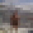  ,   Snow, 31 ,  