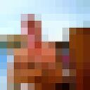 ���������� �����������, ���� ������� �����, 53 ����, ������������ ��� ������, ����� � ���������