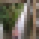  ,   , 48 ,   ,   , c , 