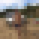 ���������� �����������-��-�����, ���� ������� �������, 31 ���, ������������ ��� ������, ����� � ���������