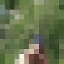 ���������� ��������, ���� ������� ��������, 47 ���, ������������ ��� ������, ����� � ���������