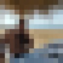 ���������� �����������, ���� ������� ������, 37 ���, ������������ 