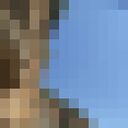 ���������� ���������, ���� ������� �������, 44 ����, ������������ ��� ������, c�������� ���������