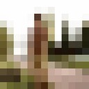 ���������� �����, ���� ������� ����, 33 ����, ������������ ��� ������, ����� � ���������