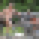  ,   , 45 ,  