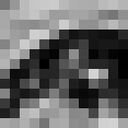 ���������� ��������������, ���� ����� ����, 19 ���, ������������ ��� ������, ����� � ���������