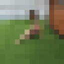 ���������� ������� ������, ���� ������� ������, 44 ����, ������������ ��� ������, ����� � ���������