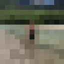 ���������� ������������, ���� ������� ������, 33 ����, ������������ ��� ������, ����� � ���������