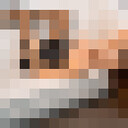 ���������� ����, ���� ������� ������, 33 ����, ������������ ��� ������, ����� � ���������, c�������� ���������